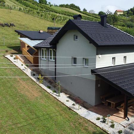 Vila Tamaskut Lendava Extérieur photo