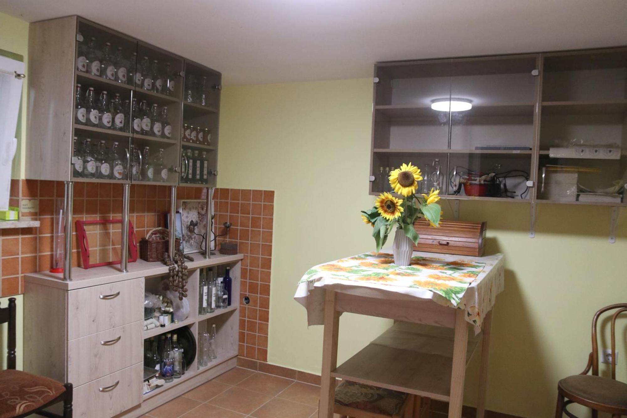 Vila Tamaskut Lendava Extérieur photo
